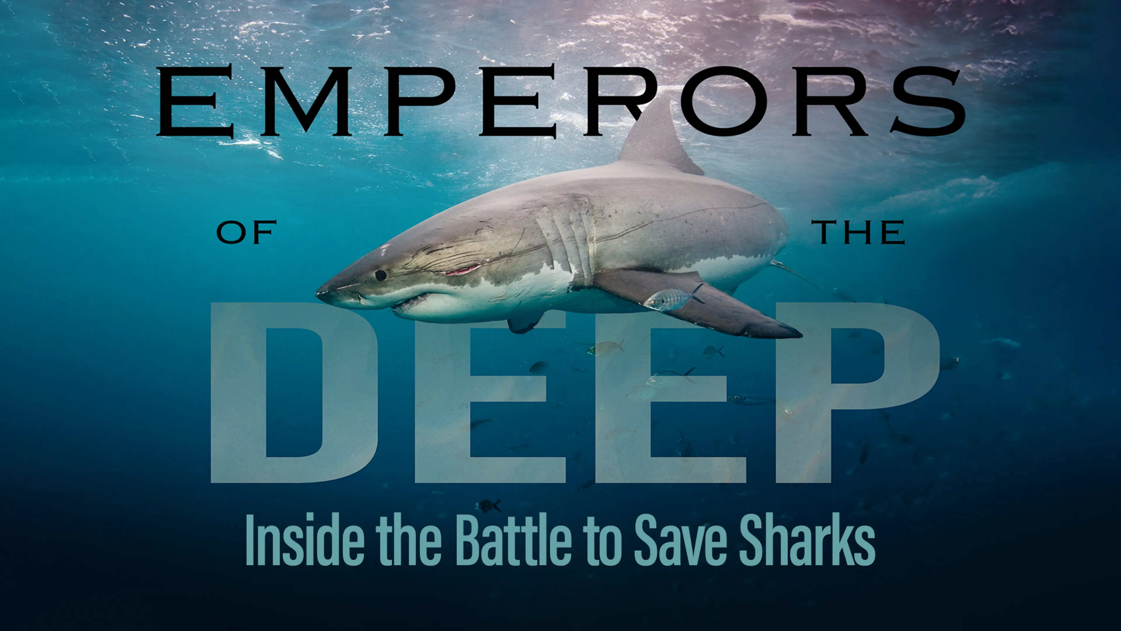 Emperors of the Deep: Inside the Battle to Save Sharks poster